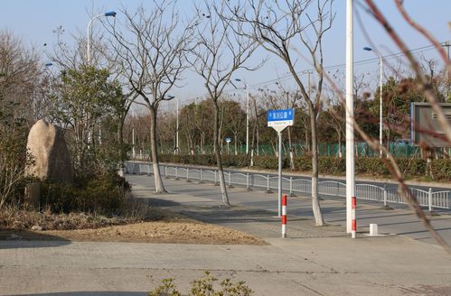 交通設(shè)施改造 道路沿線景觀提升 浦東這個鎮(zhèn)民生實事項目