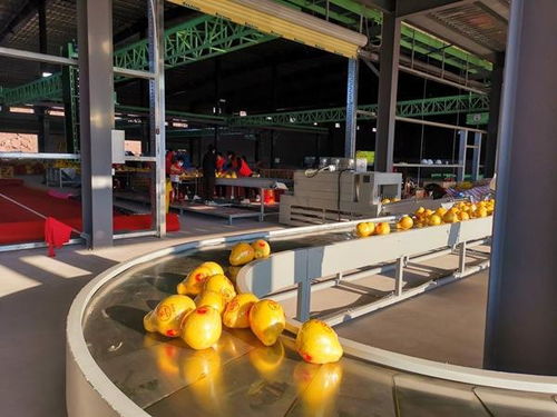 廣西 推進數(shù)字化產(chǎn)地倉建設 加快鄉(xiāng)村振興步伐