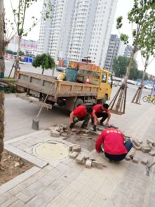 市政工程管理中心強化設施維修，全力保障道路暢通與設施完善